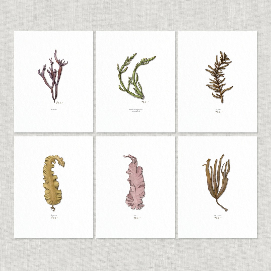 Seaweed 2 of 4 8.5 X 11 Art Print / Watercolor Illustration / Home