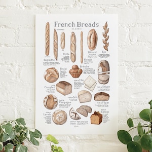 Może przedstawiać: Grafika zatytułowana "French Breads Classic" przedstawia akwarelowe ilustracje różnych rodzajów francuskiego pieczywa, w tym bagietek, boules i brioche. Grafika zawiera nazwy każdego rodzaju chleba.