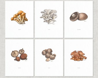 Mushrooms (Cultivated) 2 of 2: 8.5x11 Art Prints / Watercolor Illustration / Art Print / Home Decor / Mushroom / Nature / Food /Culinary