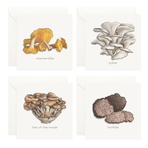 Mushrooms: Mini Cards Box Set / Gift Tags / Watercolor Illustration / Tiny Messages / Party Favors / Stocking Stuffers / Gifts / Mushroom image 5