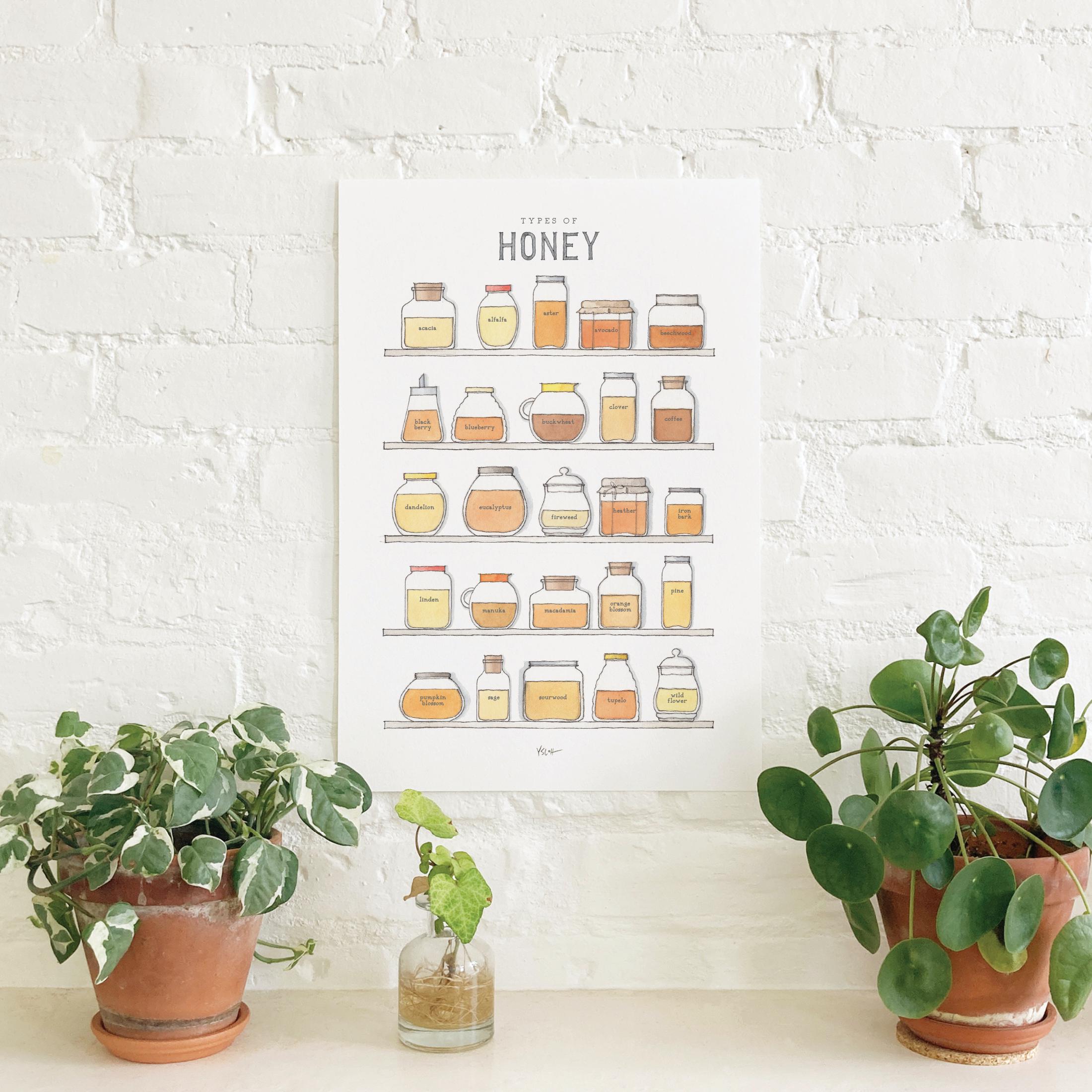 Types of Honey: Poster / Food / Fruit / Illustrations / Art Print