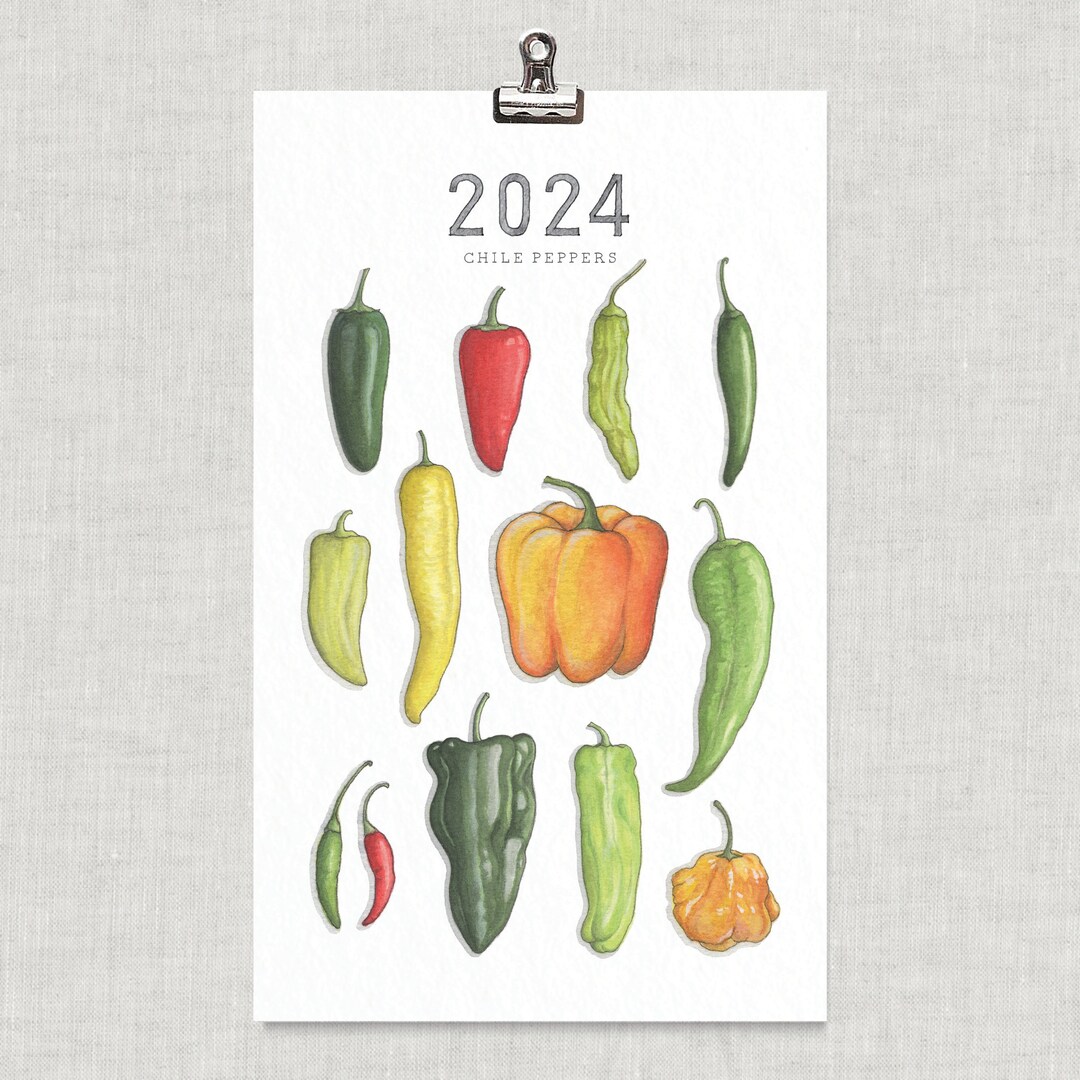 2024 Calendar Chile Peppers / Food Illustration / Art / Pepper / Chile