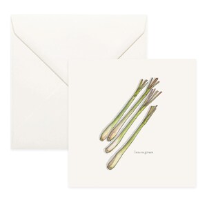 Verdure: citronella / biglietto di auguri / biglietto di ringraziamento / biglietto di auguri / biglietto di compleanno / illustrazione ad acquerello