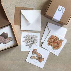 Mushrooms: Mini Cards Box Set / Gift Tags / Watercolor Illustration / Tiny Messages / Party Favors / Stocking Stuffers / Gifts / Mushroom image 2
