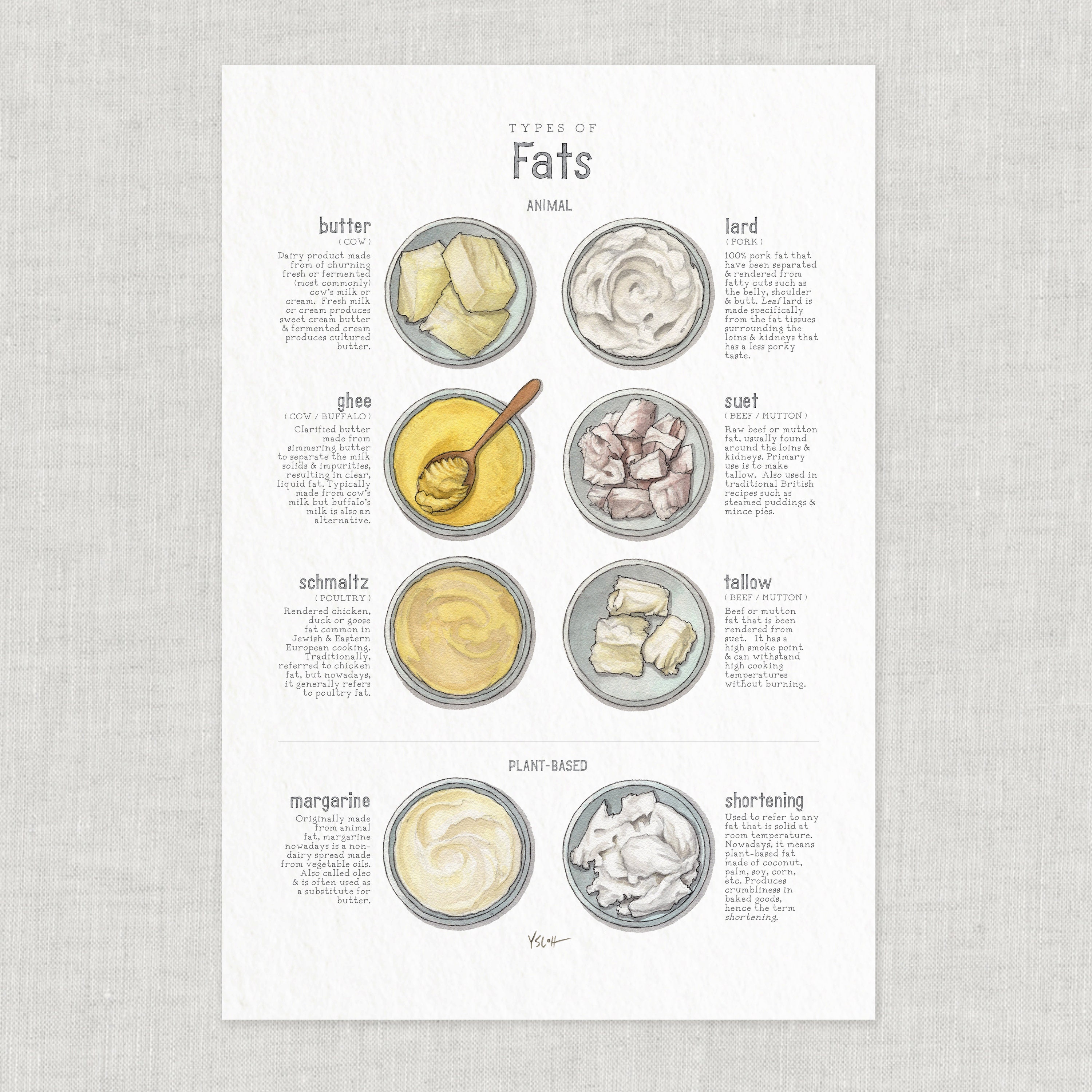 Fats Fats / Poster / Chart / Types / Food / Illustrations / Art Print