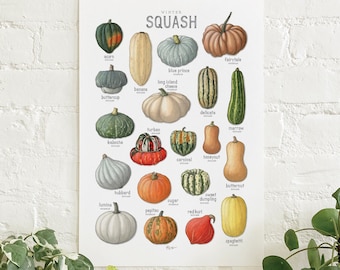 Calabaza (Invierno): Póster / Verduras
