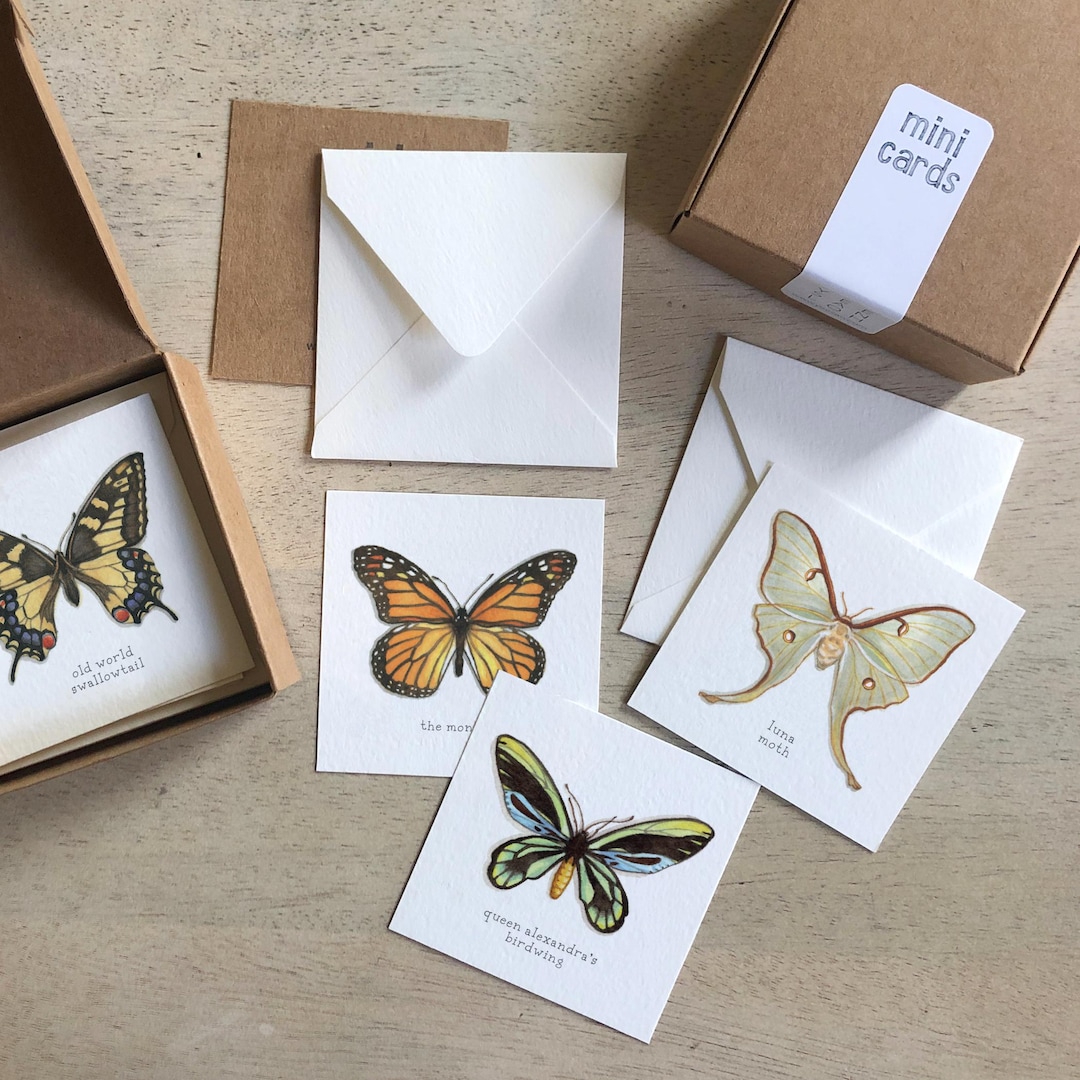 Butterflies & Moths: Mini Cards Box Set - Etsy