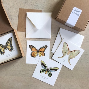 Motyle i ćmy: Zestawy miniaturowych kartek / Etykiety prezentowe / Ilustracje akwarelowe / Małe wiadomości / Upominki na przyjęcia / Prezenty