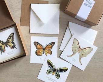 Butterflies & Moths: Mini Cards Box Set