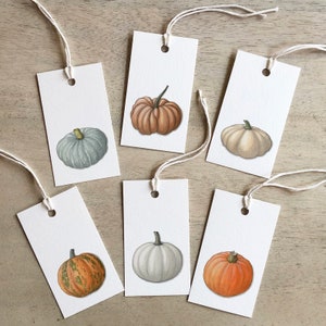 Calabazas: Etiquetas de regalo / Cumpleaños / Aniversario / Recuerdos de fiesta / Verduras / Azúcar / Pepitas / Príncipe azul / Cuento de hadas / Queso Long Island