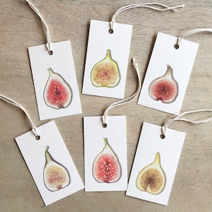 Vijgen: Cadeaukaartjes / Verjaardag / Jubileum / Feestartikelen / Fruit / Vijg / Black Mission / Bruine kalkoen / Calimyrna / Celeste / Gele longneck