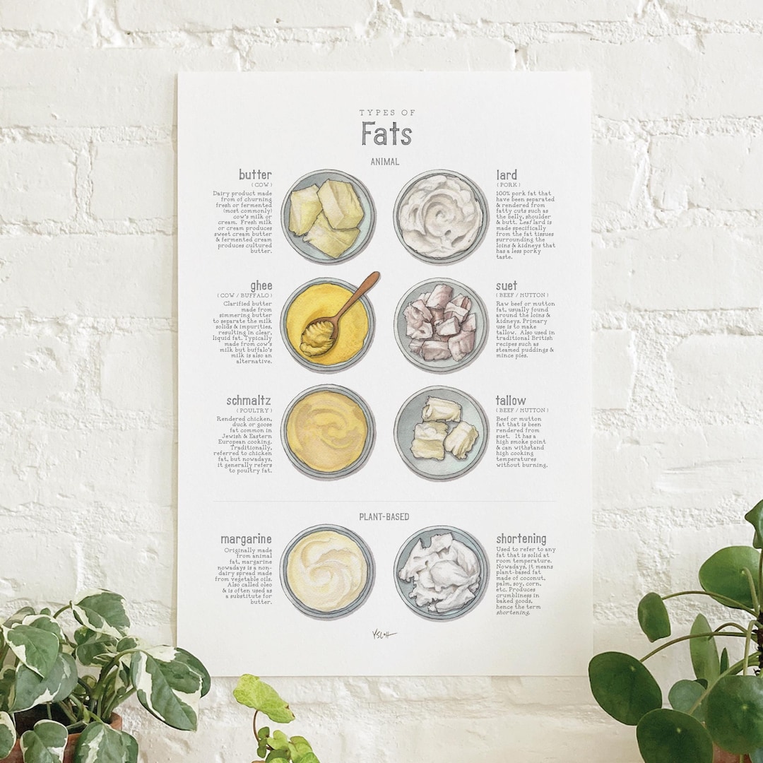 Fats & Oils 1 of 2 (fats): Poster / Chart / Types / Food ...
