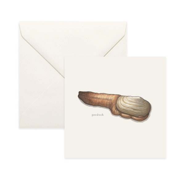 Bivalves: Geoduck / Notecard / Thank You Card / Message Card / Illustration / Shellfish / Seafood / Culinary / Clams / Soft-Shell Clam