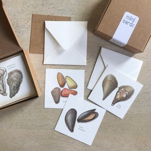 Bivalves : Coffret de mini cartes / Etiquettes pour cadeaux / Illustration à l'aquarelle / Petits messages / Cadeaux d'anniversaire / Cadeaux pour Noël / Palourdes