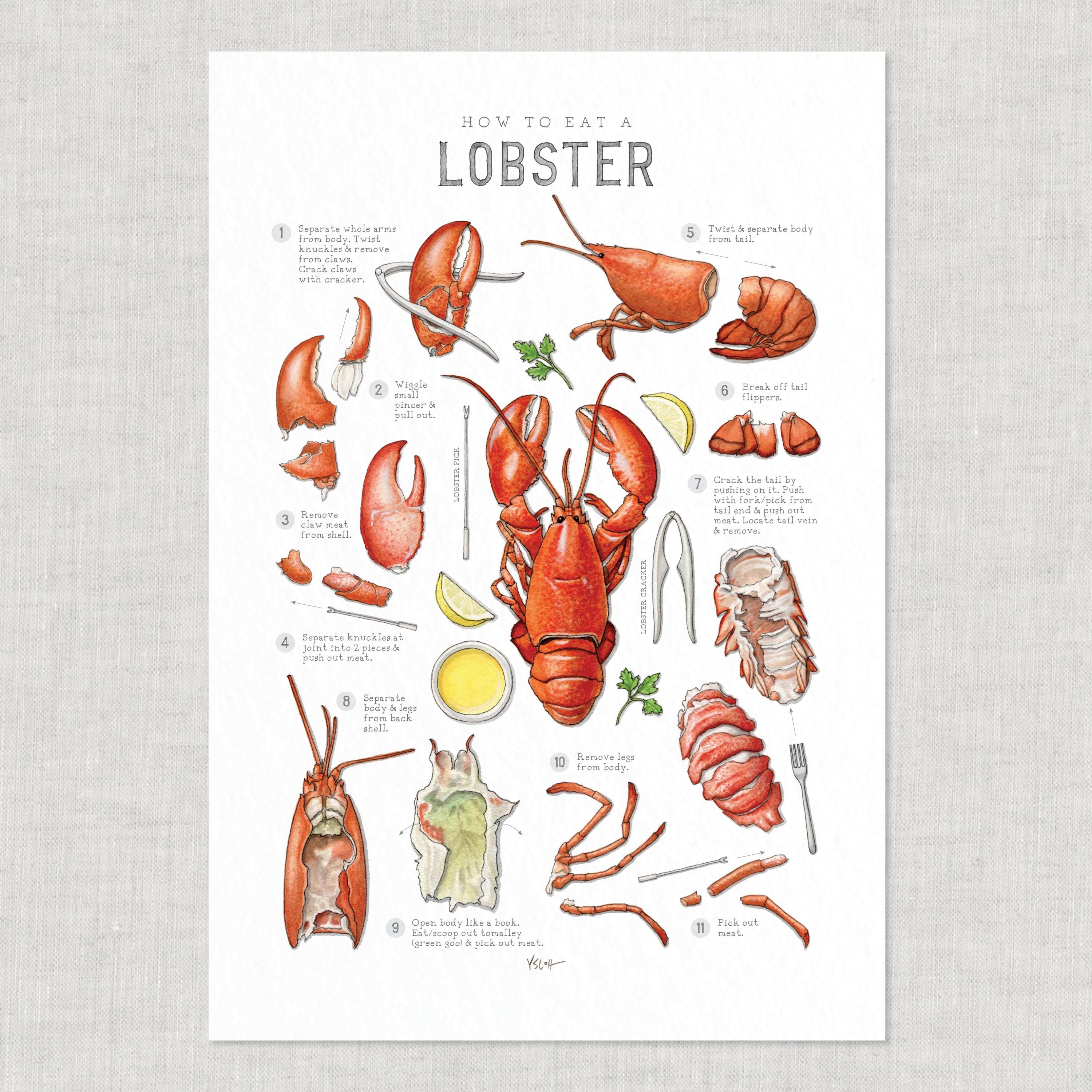 How to Eat a Lobster: Poster / Seafood - Etsy