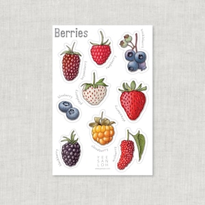 Stickers | Berries: Scrapbooking / Arts & Craft / Stationery / Strawberry / Raspberry / Pineberry Cloudberry / Huckleberry / Blueberry