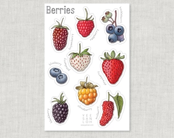 May include: A set of 10 colorful stickers featuring different types of berries, including blueberries, raspberries, strawberries, blackberries, and cloudberries. Each sticker has the name of the berry printed below it.