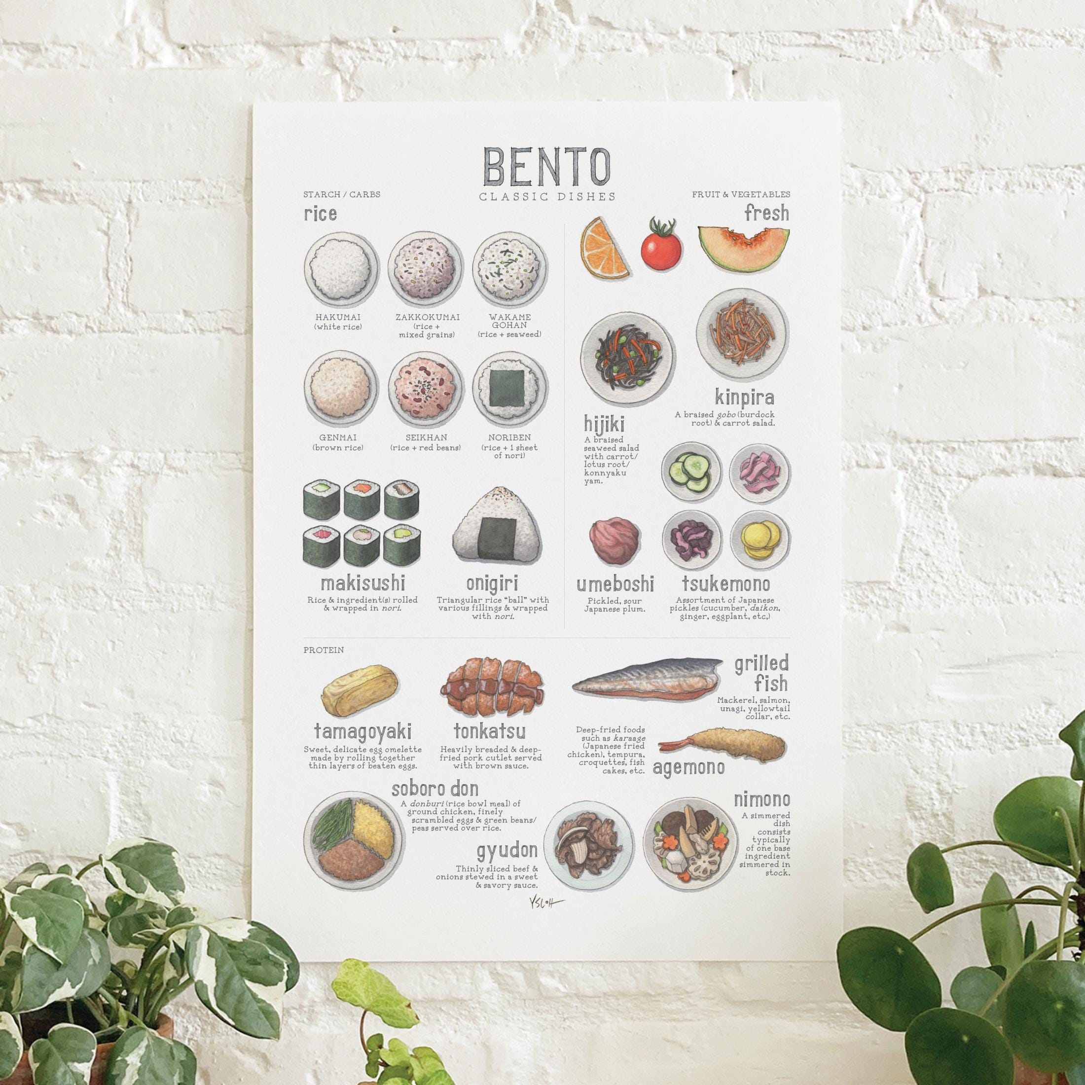 Bento (boxes & Dishes): Poster / Japanese Boxed Lunch - Etsy