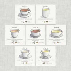 お茶：黄茶 / ノートカード / サンキューカード / メッセージカード / バースデーカード / 食べ物イラスト / 飲み物 / ブラック / ハーブティー / ウーロン茶 / 緑茶