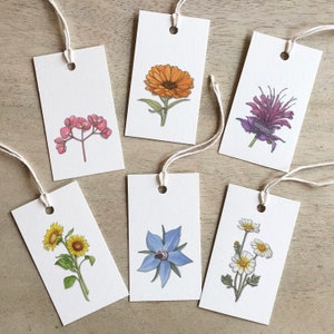 Flores Comestibles 01: Etiquetas de Regalo / Cumpleaños / Aniversario / Favores de Fiesta / Flor / Flora / Naturaleza / Begonia / Bálsamo de Abeja / Caléndula / Borraja