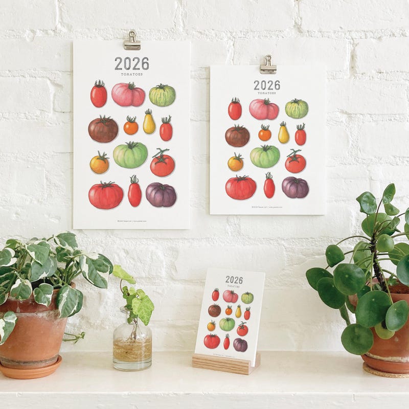 Plum paper planner 2025 etsy