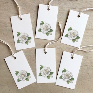 Gardenia: Cadeaukaartjes / Verjaardag / Jubileum / Bruiloft / Feestartikelen / Bloem / Flora / Natuur / Gardenia's / Tuinieren / Tuin