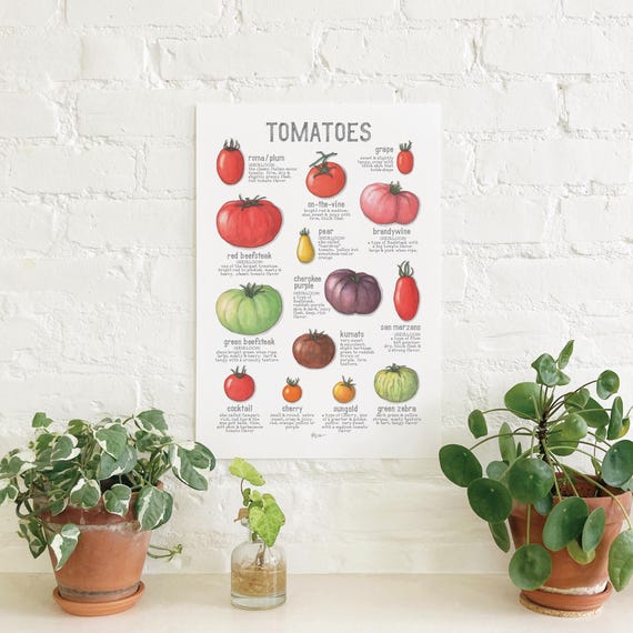 tomato　GBC メダロット3 B2サイズポスター　2枚セット Tomatoes: Poster / Vegetables - Etsy
