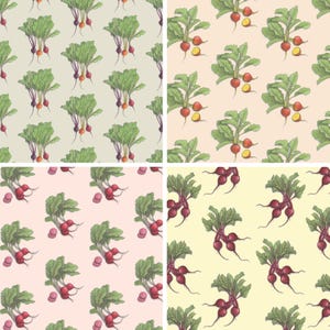Remolachas: Papel de regalo (hoja de 13x19) / Cumpleaños / Días festivos / Scrapbooking / Cocina / Culinaria / Remolacha / Remolacha / Verduras / Vegetales