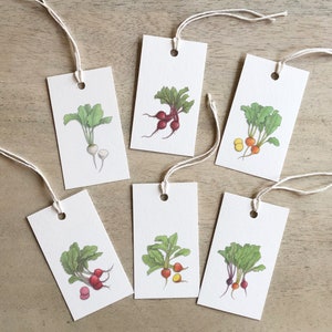May include: Six white gift tags with different illustrations of vegetables. Each tag has a hole punched in the top for string. The vegetables include a bunch of red beets, a bunch of yellow turnips, a bunch of red radishes, and a single white turnip.