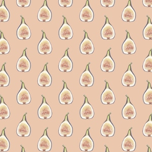 Figs: Gift Wrap Paper / Birthday / Parties / Anniversary / Holidays / Fig / Fruit / Black Mission / Brown Turkey / Celeste / Osborne