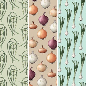 Alliums (2 van 2): cadeaupapier (vel 13 x 19) / verjaardag / feestjes / groenten / allium / knoflook / ui / lente-uitjes / sjalot / prei