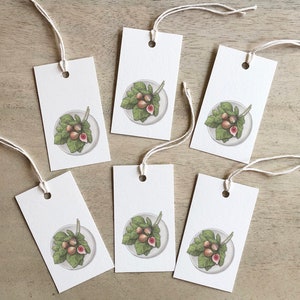 Vijgen: vijgen en bladeren / Cadeaukaartjes / Verjaardag / Jubileum / Feestartikelen / Fruit / Vijg / Black Mission / Bruine kalkoen / Calimyrna / Celeste