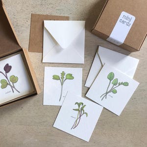 Brotes y microvegetales: Juego de cajas de minitarjetas de microvegetales / Etiquetas de regalo / Mensaje pequeño / Favores de fiesta / Rellenos de medias / Cestas de regalos