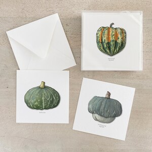 Winter Squash: Box Set Cards