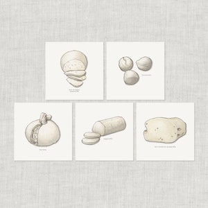 チーズ. モッツァレラ（1/2）：ノートカード / サンキューカード / メッセージカード / 誕生日 / 水彩画 / イタリア料理 / 料理 / ブッラータ