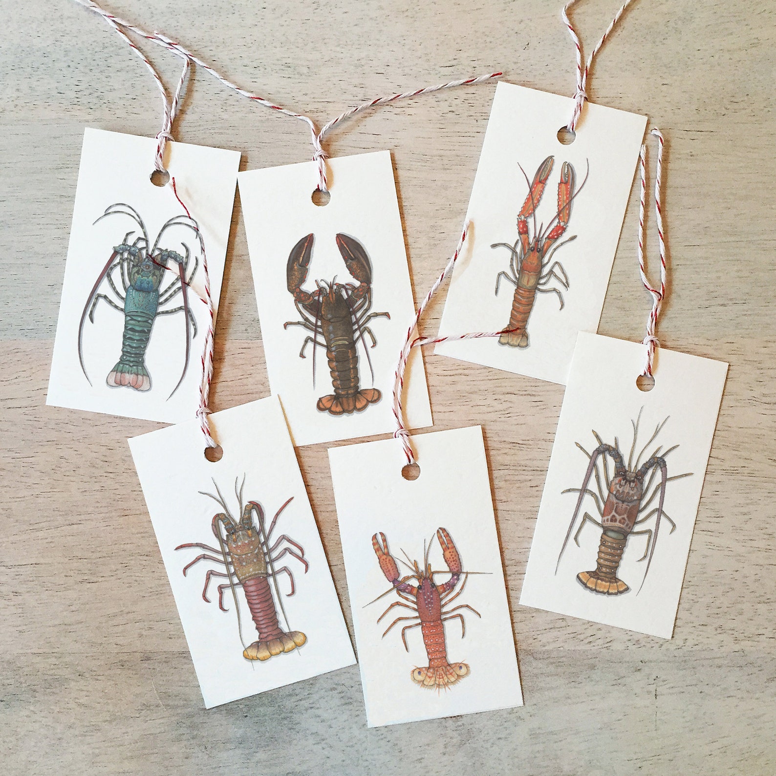 Lobsters Gift Tags Pack of 6 /Watercolor Illustration/ Etsy
