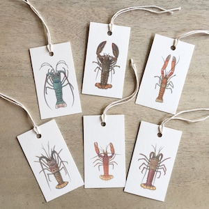 Homards : étiquettes pour cadeaux / Illustration aquarelle / Vacances / Célébration / Homard / Fruits de mer / Nature / Crustacé / Coquillages / Maine / Épineux