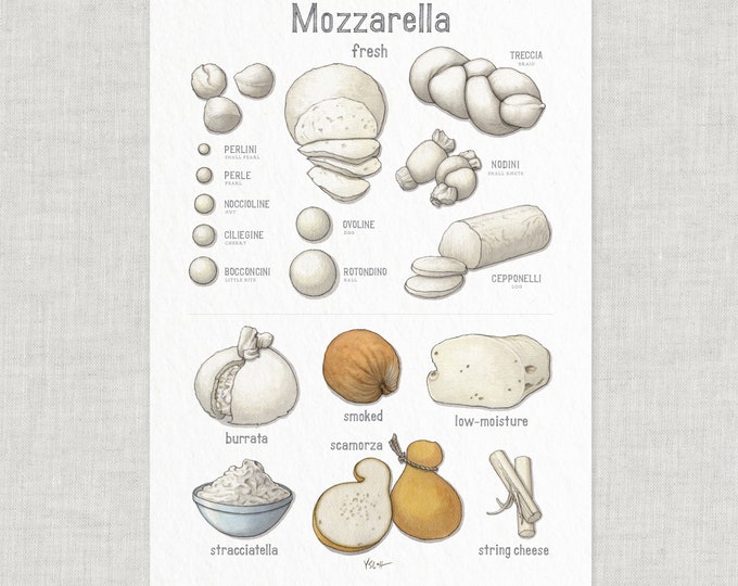 Queso: Mozzarella / Póster / Comida / Ilustraciones / Lámina / Decoración del hogar / Burrata / Bocconcini / Stracciatella / Treccia / Scamorza