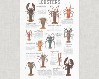 Lobsters: Poster / Seafood / Food / Food & Cooking / Illustrations / Art Print / Home Decor / Culinary / Crustacean / Lobster / Spiny