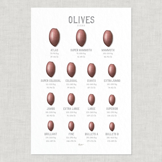 oliveページ Olive Sizes: Poster / Food / Illustrations / Art Print / Home