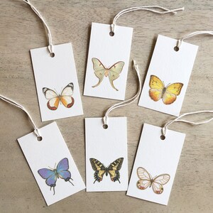 Butterflies & Moths 1 of 2: Gift Tags / Birthday / Anniversary / Party Favors / Swallowtail / Luna Moth / Yellow Apricot / Blue Hairstreak