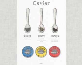 Kaviar / Beluga / Serruga / Ossetra / Poster / Essen / Gourmet / Illustrationen / Kunstdruck / Home Decor