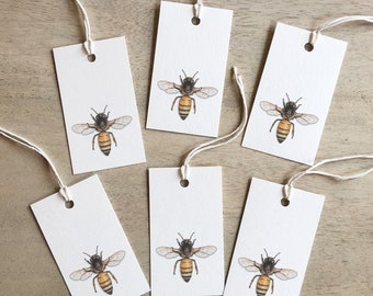 Honey Bee: Gift Tags / Birthdays / Anniversary / Holidays / Party / Bees / Honey / Honeycomb / Sweet