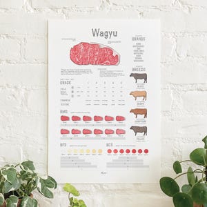 May include: A Wagyu beef chart providing details on grades, brands, and breeds. The poster displays a diagram of a meat cut, alongside charts detailing fat content, firmness, and texture. The text includes "Wagyu" at the top.