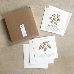 Ancient Grains: Boxset kaarten / Notitiekaarten / Platte kaarten / Aquarelillustratie / Cadeaus / Geschenkverpakkingen / Voedsel / Graan / Culinair