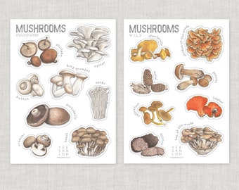 Stickers | Mushrooms / Scrapbooking / Arts & Craft / Stationery / Mushroom / Fungi / Food / Chanterelle / Morel / Portobello / Enoki