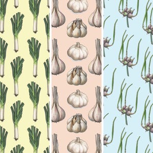 Allium (1 di 2): Carta da regalo (foglio 13x19) / Compleanno / Feste / Verdure / Allium / Aglio / Cipolla / Cipollotto / Scalogno / Porro