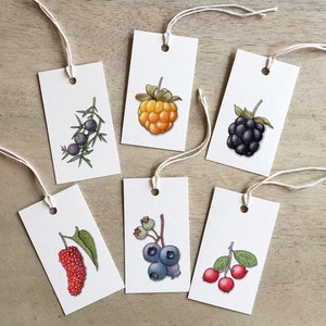 Berries 1 of 2: Gift Tags / Birthday / Anniversary / Party Favors / Fruit / Berry / Berries / Juniper / Huckleberry / Cloudberry / Dewberry