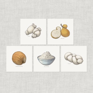 チーズ。モッツァレラ（1/2）：ノートカード / サンキューカード / メッセージカード / 誕生日 / 水彩画 / イタリア料理 / 料理 / スカモルツァ