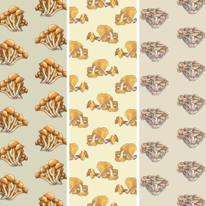Pilze (2 von 3): Geschenkpapier (13x19 Blatt) / Geburtstag / Parties / Jahrestag / Feiertage / Pilz / Pilze / Pfifferling / Maitake